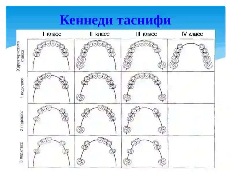 Е.И.Гавриловтаснифи 3