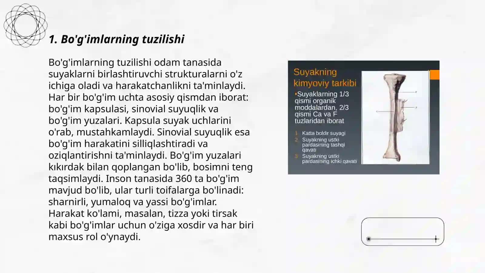 Bo’g’imlar biomexanikasi. Birlashmalarning rengenanatomiyasi 3