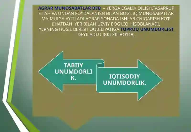 DAVLATNING AGRAR SIYOSATI 3