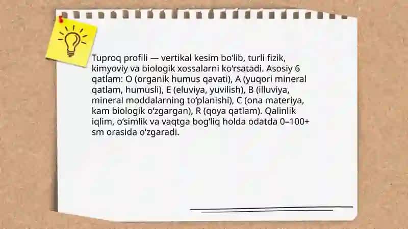 Tuproq va uning tabiiy xususiyati 3