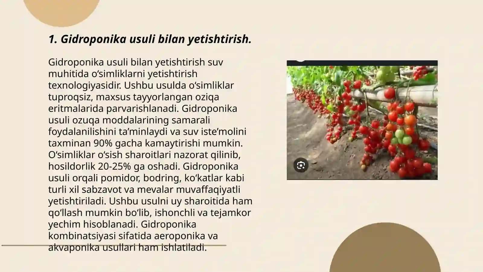 Tomotdosh sabzavot ekinlarining zamonaviy texnalogiya asosida yetishtirish 3