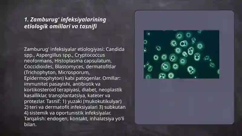 Zamburug' va parazitar infeksiyalar- etio-patogenezi, morfologiyasi 3
