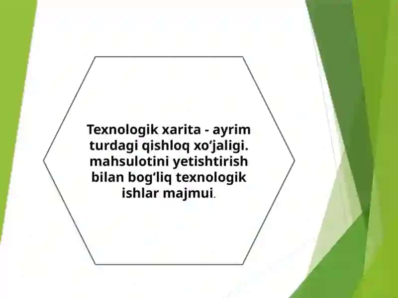 Texnologik xarita haqida tushuncha,darslarni tahlil qilish.Mavzularni o’tish turlari 3