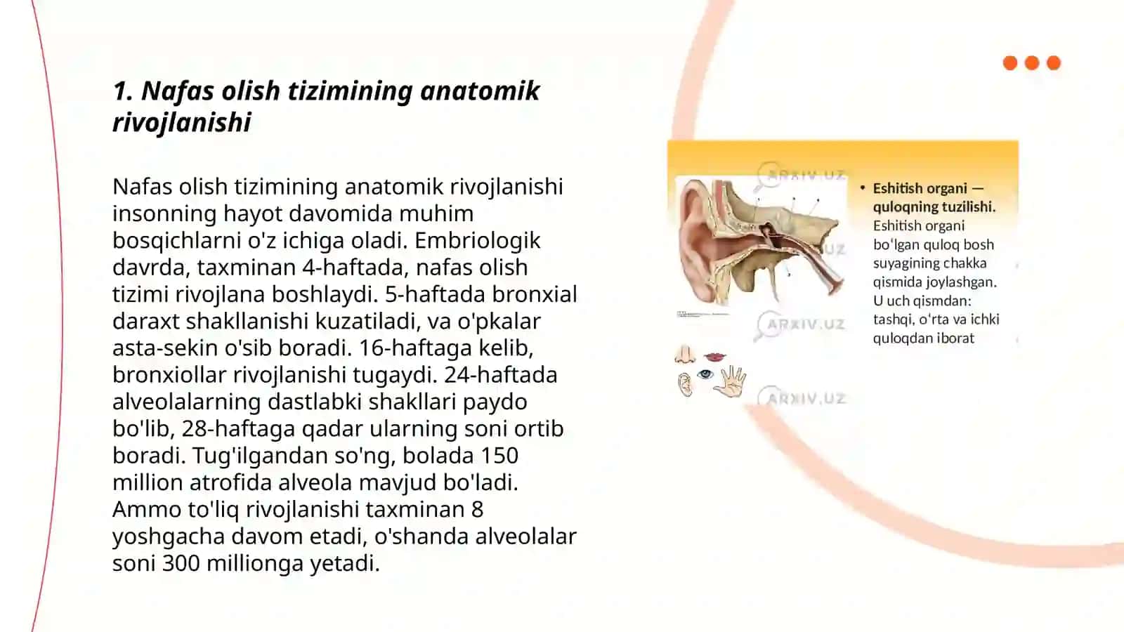 Nafas olish tizimining anatomik rivojlanishi 3
