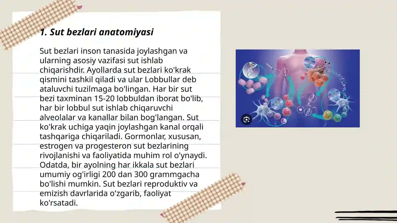 Sut bezlari faoliyatining boshqarilishi 3