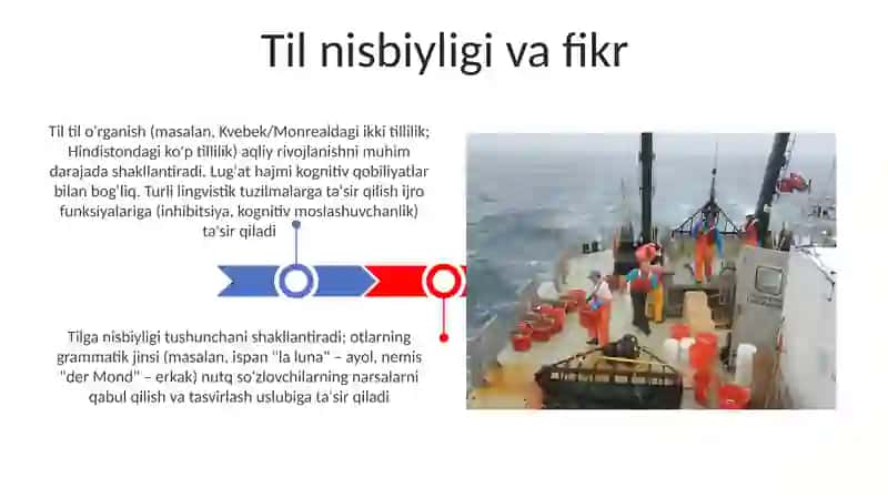 Psixik jarayonlarni shakllanishida tilning ahamiyati 3