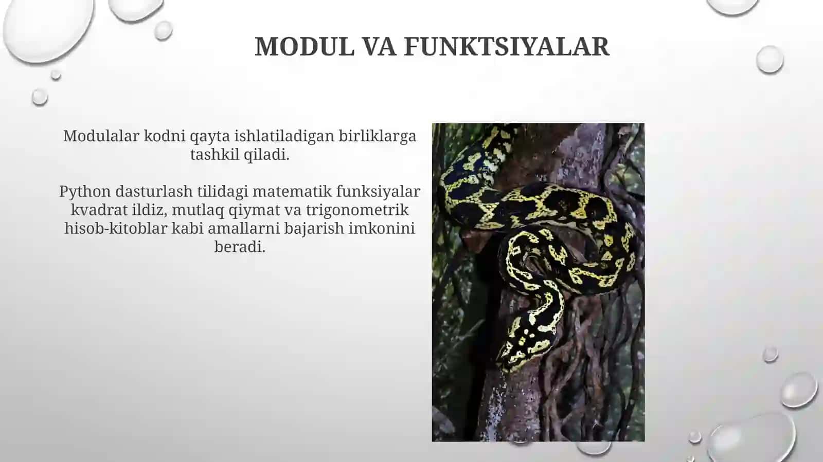 Pythonda matematik funksiyalar 3