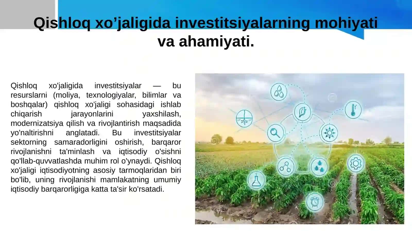 Agrosanoat Majmuasida Investitsiyalar va Ulardan Samarali Foydalanish 3