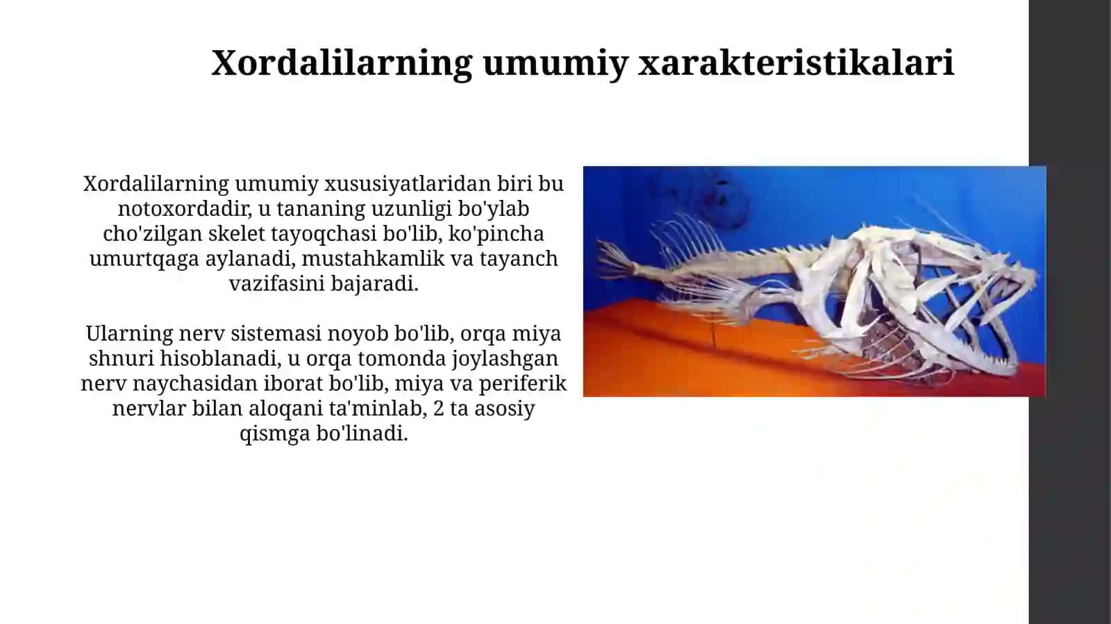 Xivchinlilar sinfning xarakterli xususiyatlari 3