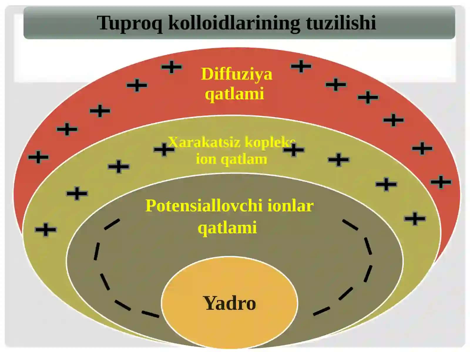 ТУПРОК КOЛЛOИДЛAРИ, ТУПРОКНИНГ СИНГДИРИШ КOБИЛИЯТИ, ТУПРОК УНУМДOРЛИГИ 3
