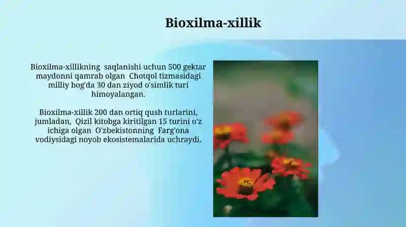 Ekotizimlar 3