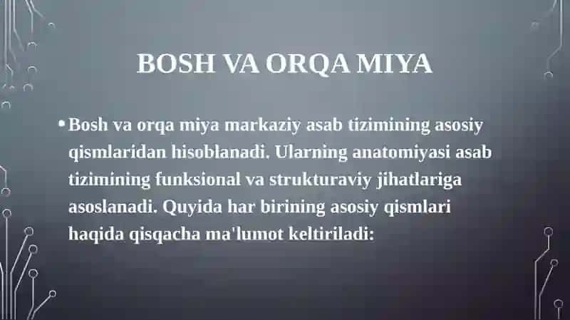 Boshvaorqamiya Anatomiyasi 3
