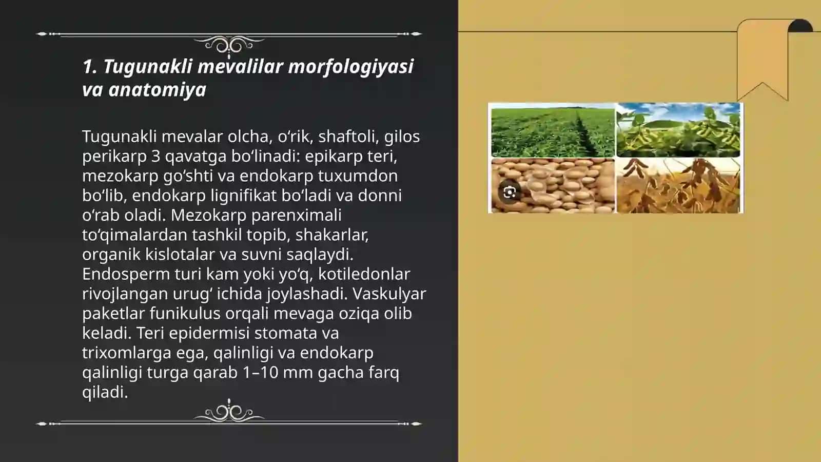 Tugunakli mevalilar morfologiyasi biologiyasi va yetishtirish texnologiyasi 3