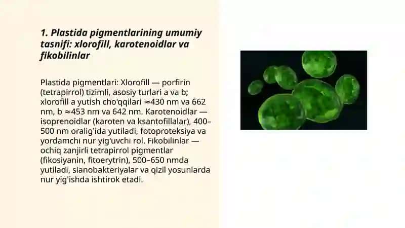Plastida pigmentlari va ularning fotosintezdagi o'rni 3