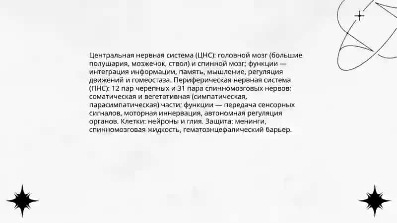 Значение нервной системы и гигиены 3