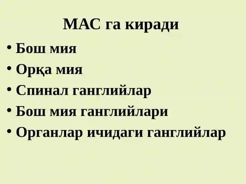 МАТ фаолиятининг рефлектор тамойилари. Асаб марказларнинг хоссалари 3