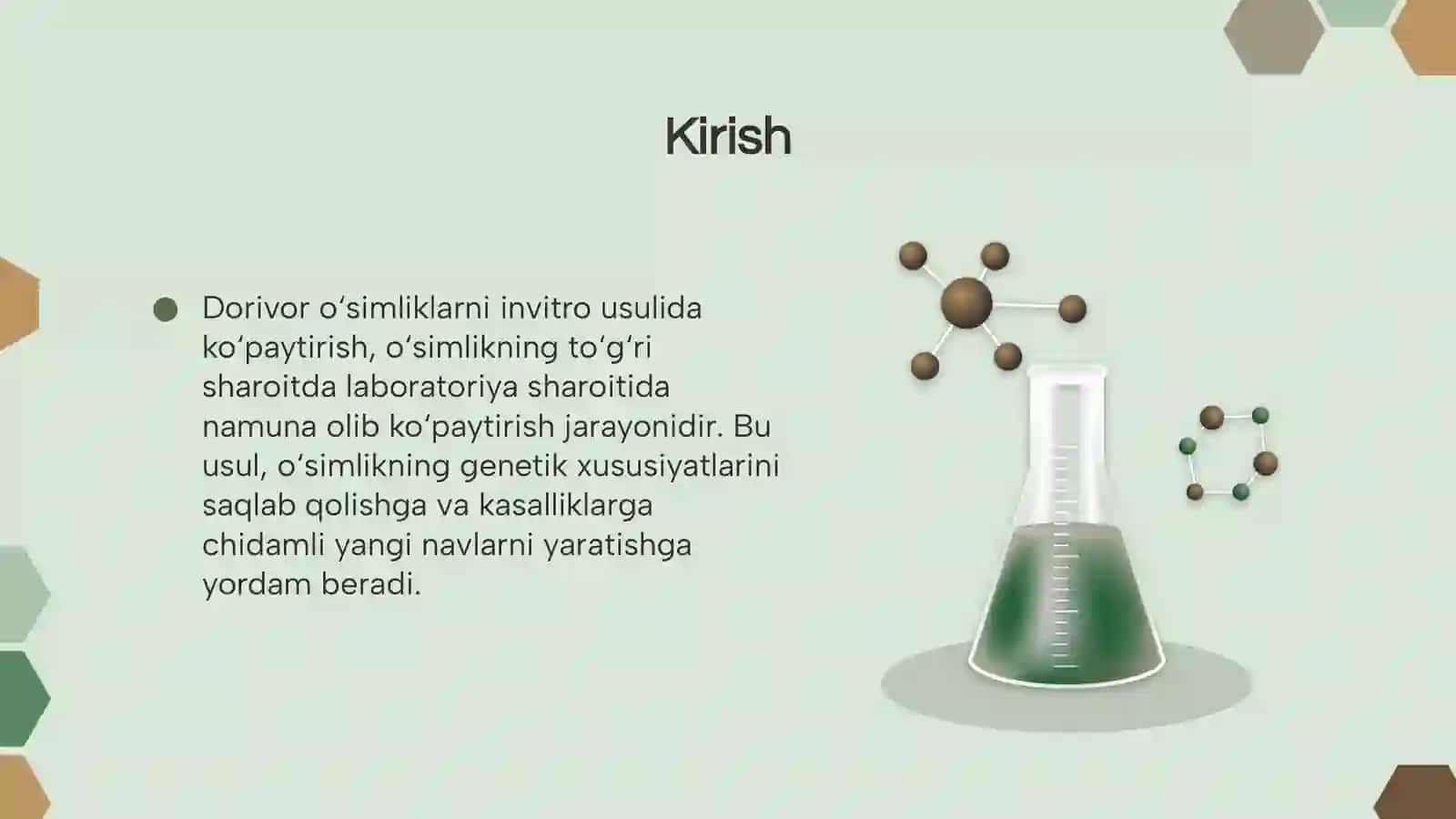 Dorivor o'simliklarni invitro usulida ko'paytirish 3