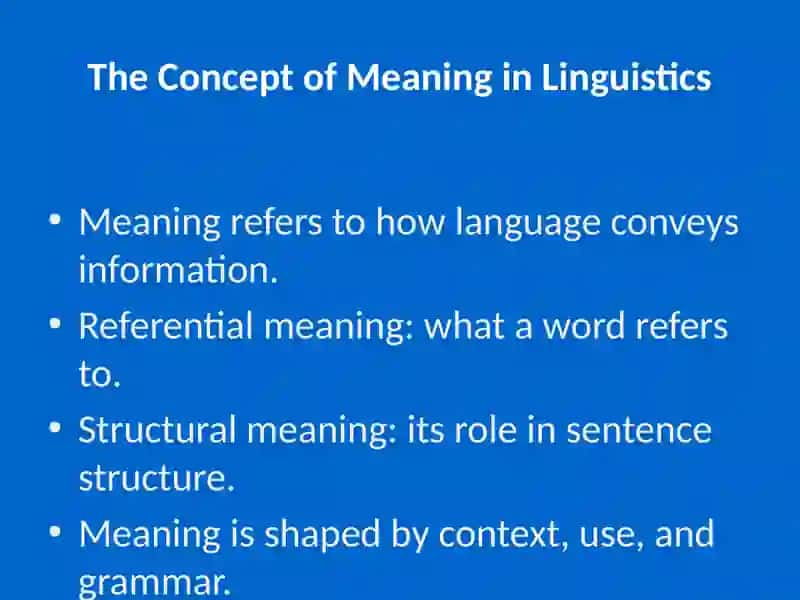 Lexical and Grammatical Meanings 3