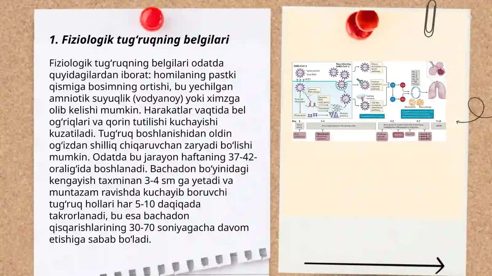 Fiziologik tugʻruq.Klinikasi,olib borish taktikasi 3