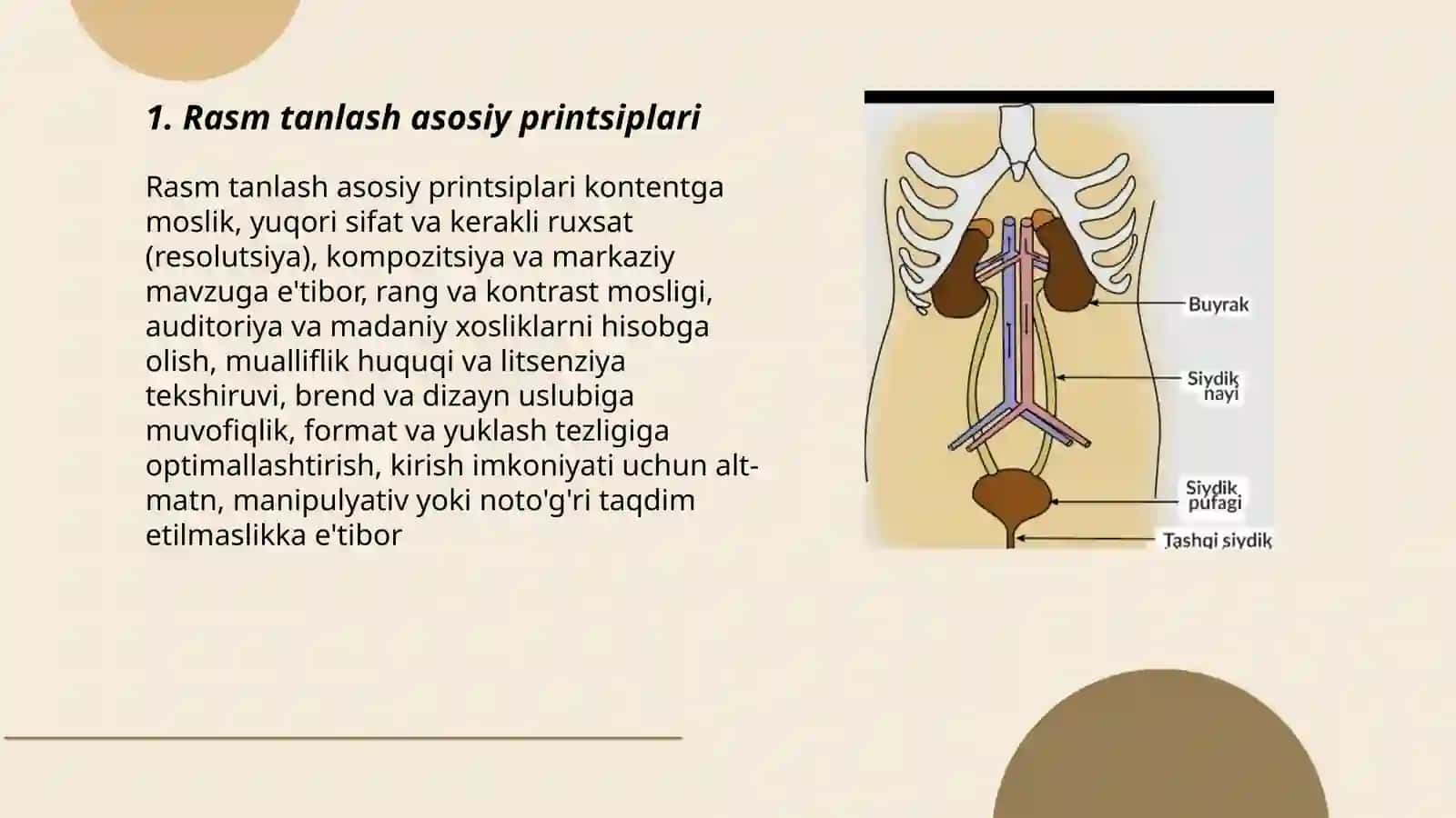 Rasm tanlash asosiy printsiplari 3