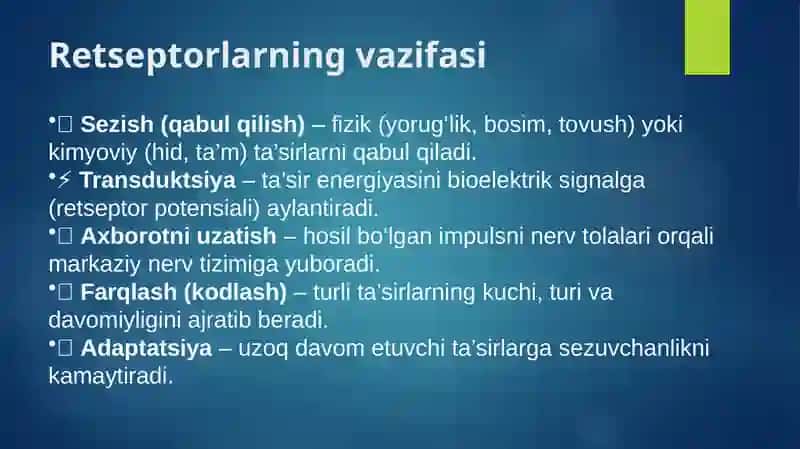 Retseptorlarda informatsiyalarni o’zgartirilishining biofizikaviy mexanizmlari. Ta’m va hid bilish nazaryasining biofizikaviy asoslari 3
