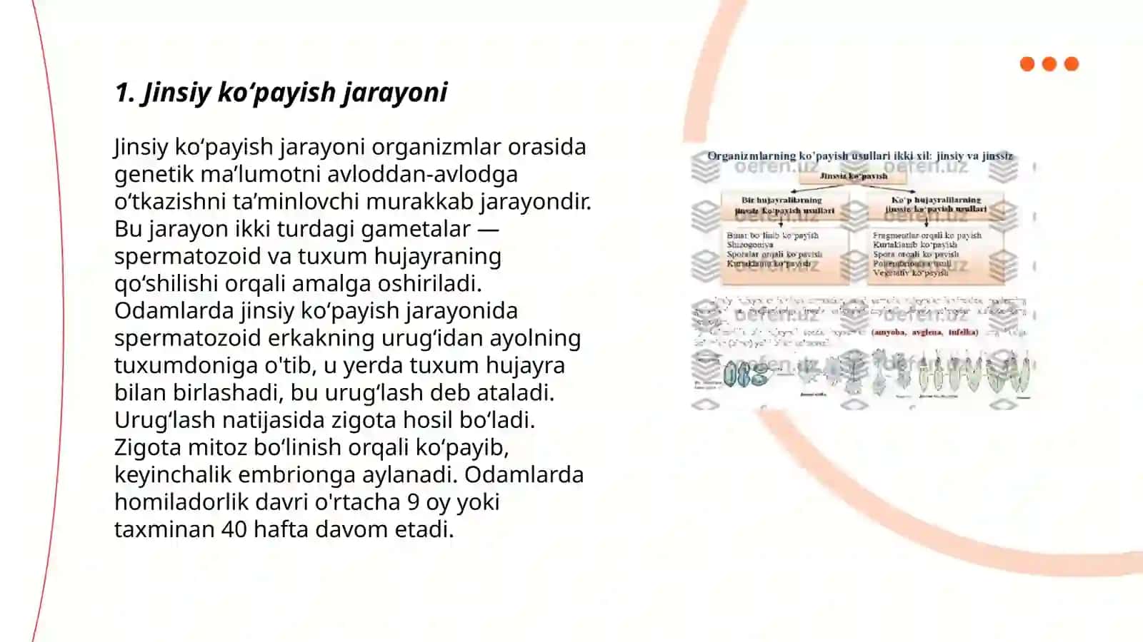 Jinsiy va jinssiz koʻpayish morfologiyasi 3