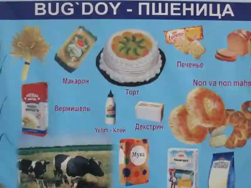 BUG‘DOY BIOLOGIYASI VA YETISHTIRISH TEXNOLOGIYASI 3