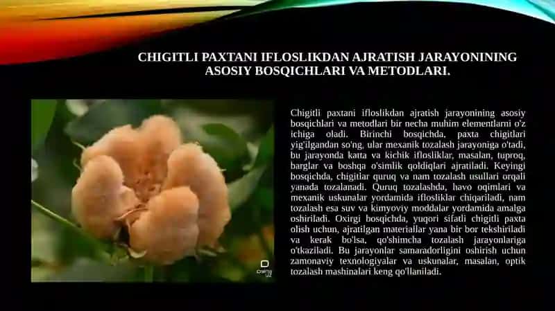 Chigitli paxtani ifloslikdan ajratib olishtexnologiyasi 3