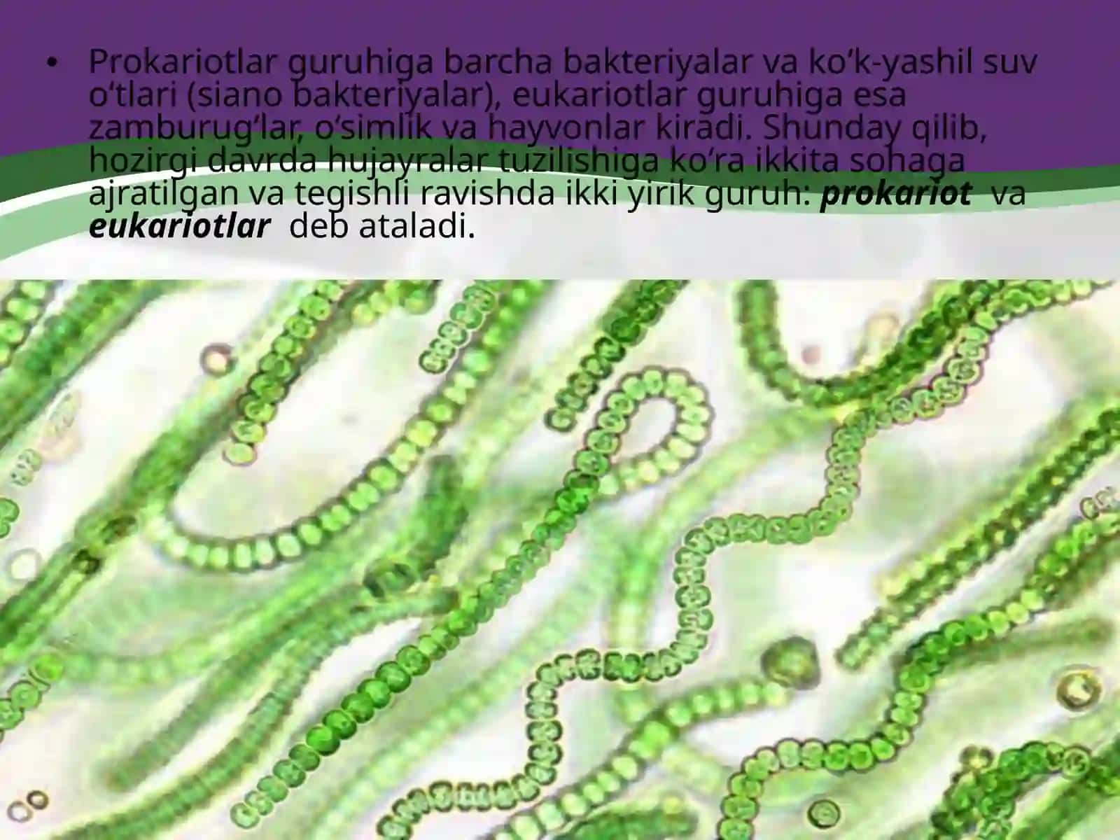 Biologiya fanini o'qituvchi 3