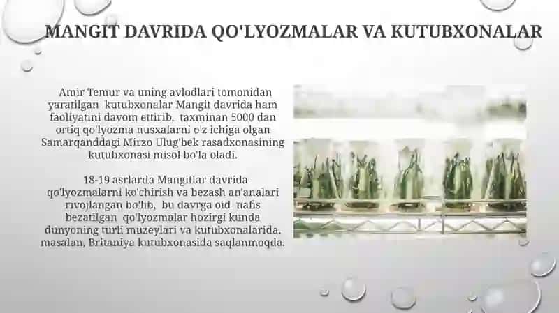 Mangitlar davrida ilm-fan va madaniyat 3