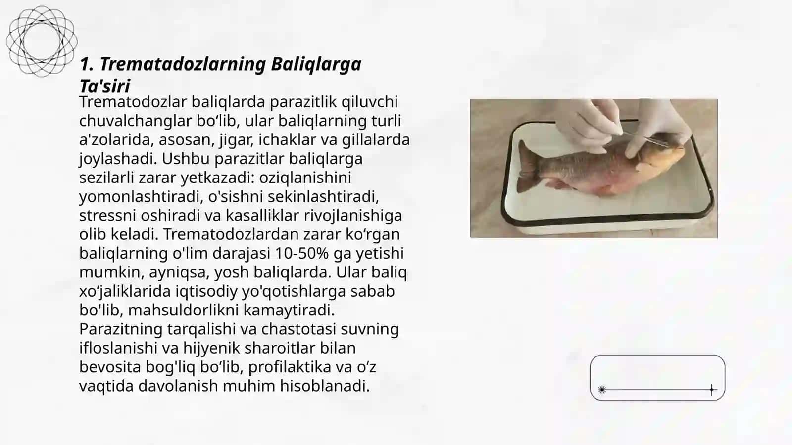 Baliqlarda trematadozlar keltirib chiqaradigan kasaliklar 3