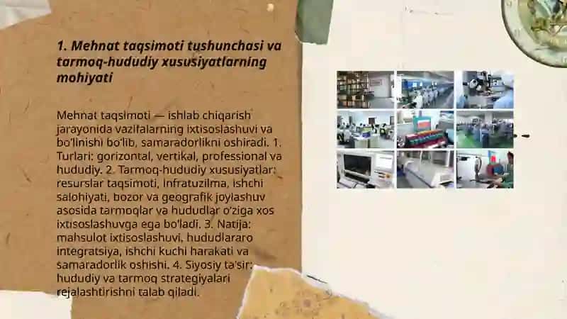 Mehnat taqsimotining tarmoq va hududiy xususiyatlari 3