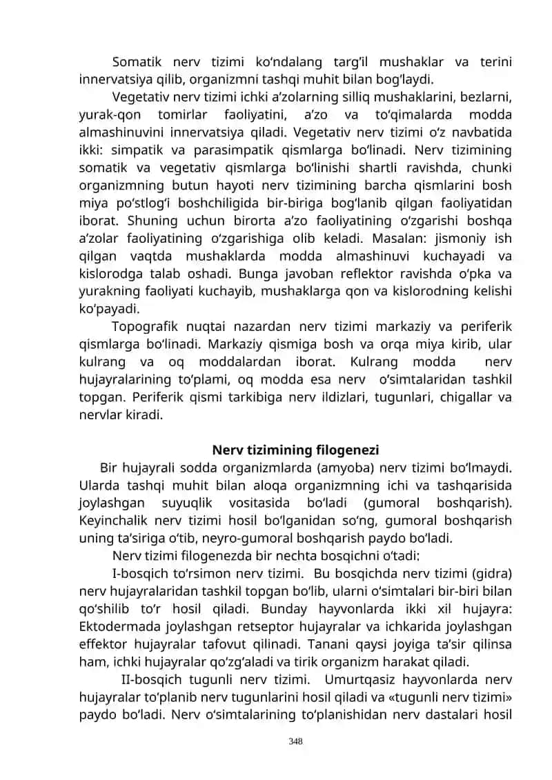 Nerv tizimi (neurologiya) 3