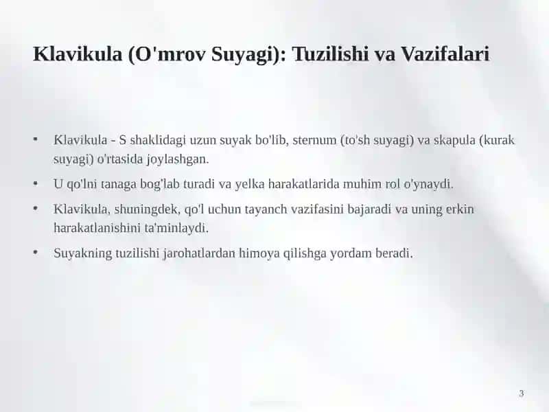 Yelka Kamari va Qo'l Suyaklarining Birlashuvi, Tuzilishi va Xususiyatlari 3