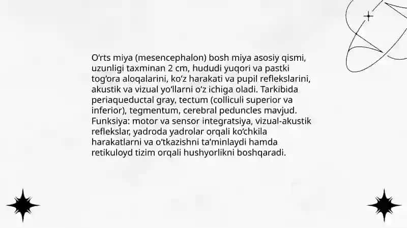 O‘rts miya fiziokogiyasi 3