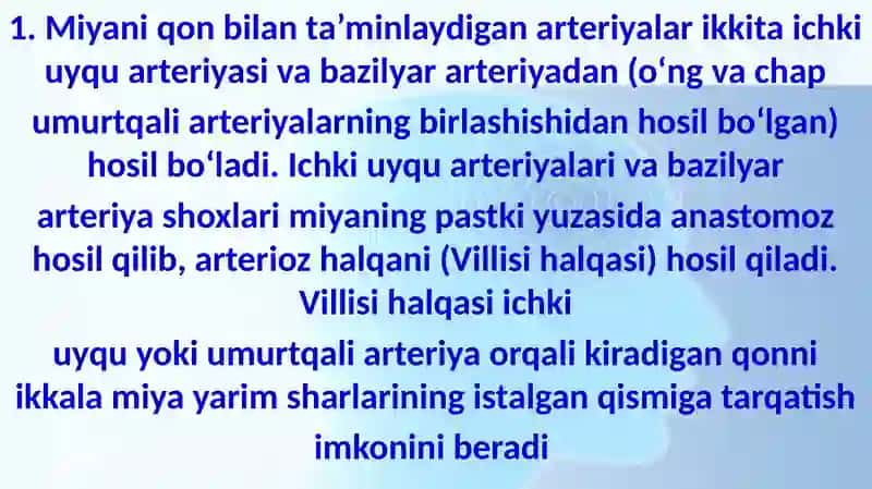 A’zolar qon aylanishining o’ziga xosligi 3