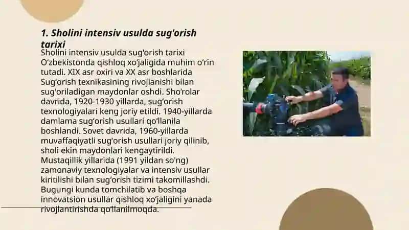 Sholini intensiv usulda sug'orish tarixi 3