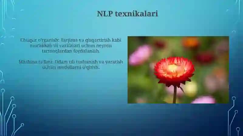 Tabbiy tilni qayta ishlash(Natural Language Proccessing,NLP) 3