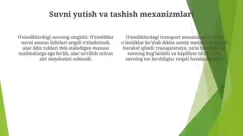 Turli Ekologik Guruh O‘Simliklarida Suv Almashinuvi 3