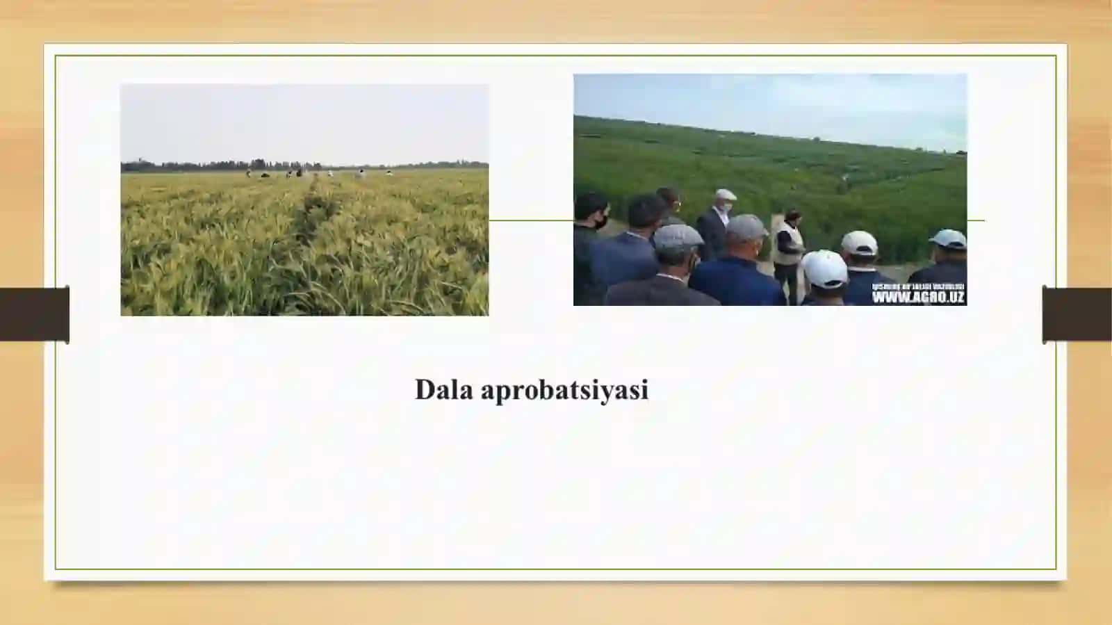 Dala aprobatsiyasi haqida tushuncha 3