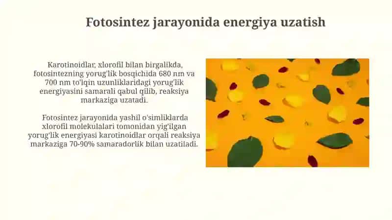Karotinoidlar: fotosintez va inson ovqatlanishidagi roli 3