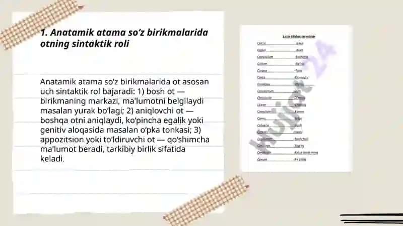Anatamik atamalarning sintaktik tuzulishi. Otning 3 turlanish jenskiy rodi 3