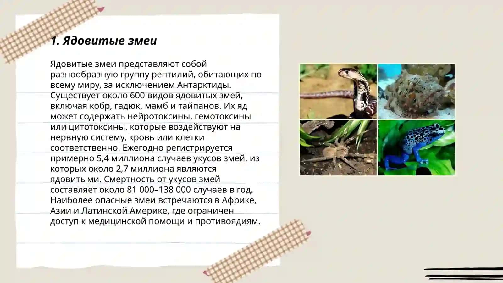 Ядовитые животное 3