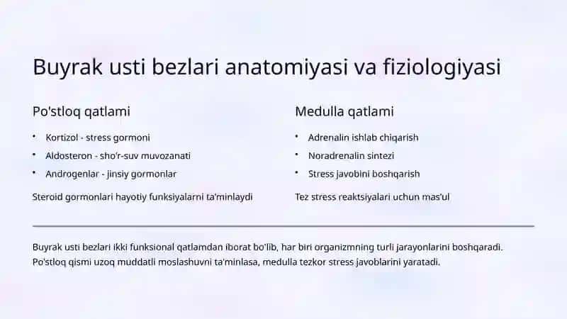 Buyrak usti va Gipofiz 3