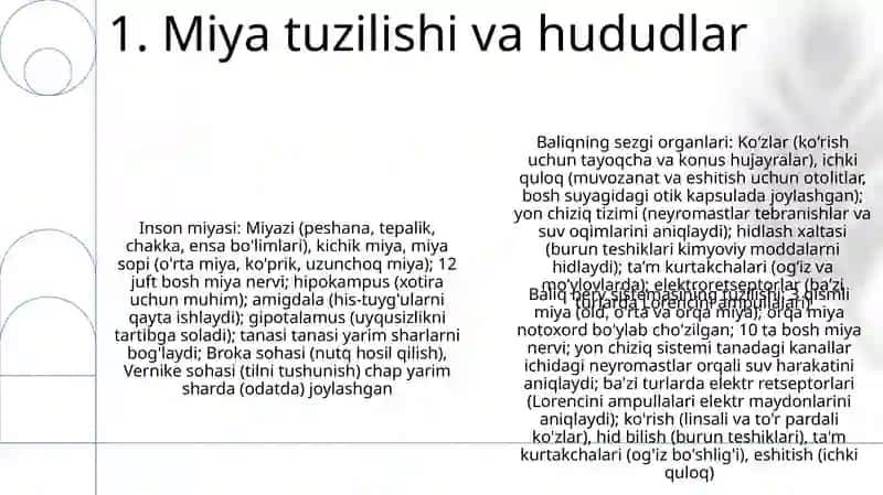 Baliqlarning nerv sistemasi va sezgi organlari tuzilishi 3