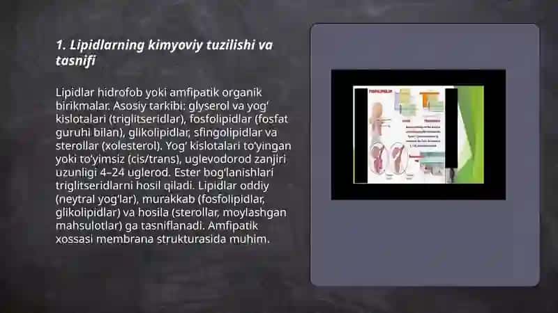 Lipidlarning tuzilishi, funksiyasi va metabolizmi 3