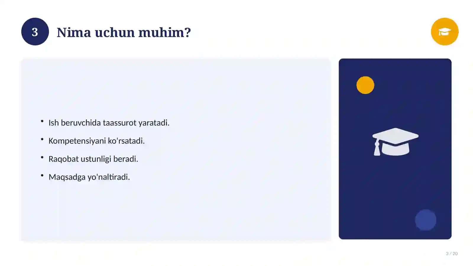 Professional CV blank (ishga kirish uchun) 3