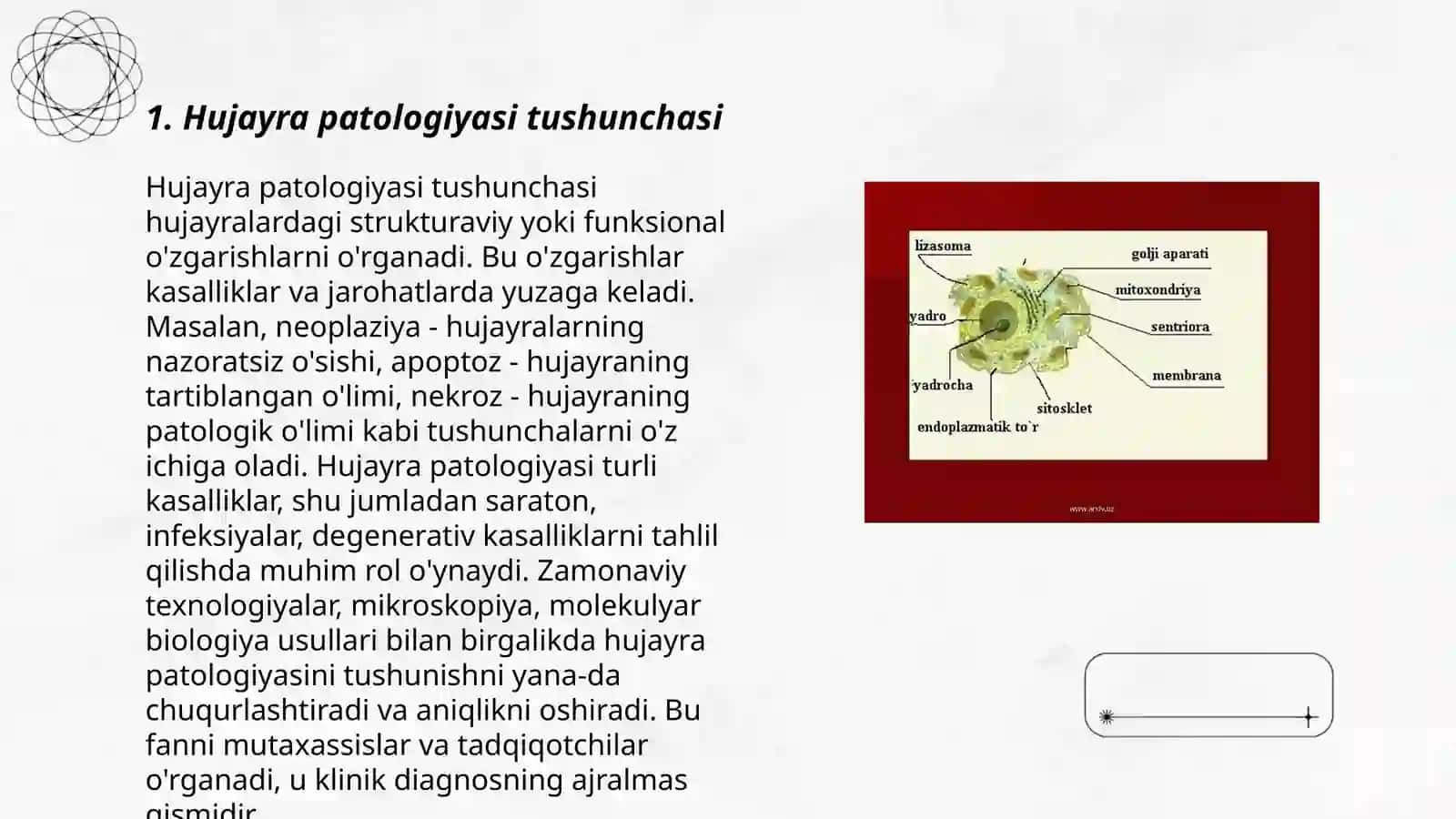 Hujayra potologiyasi va uning kelib chiqish sabablari 3