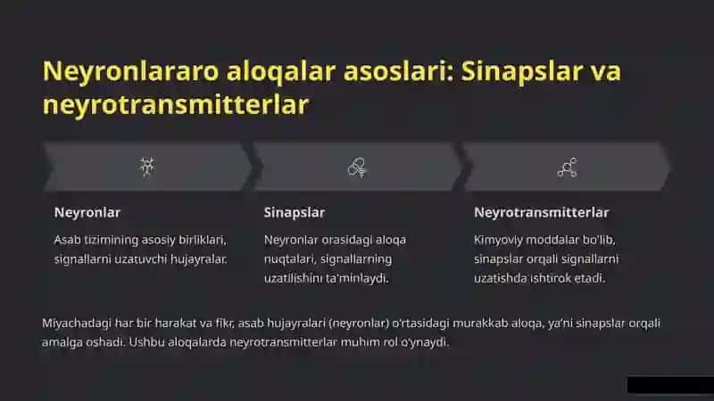 Miyachada Neyronlararo Aloqalar va Purkinye Hujayralari: Kirish 3