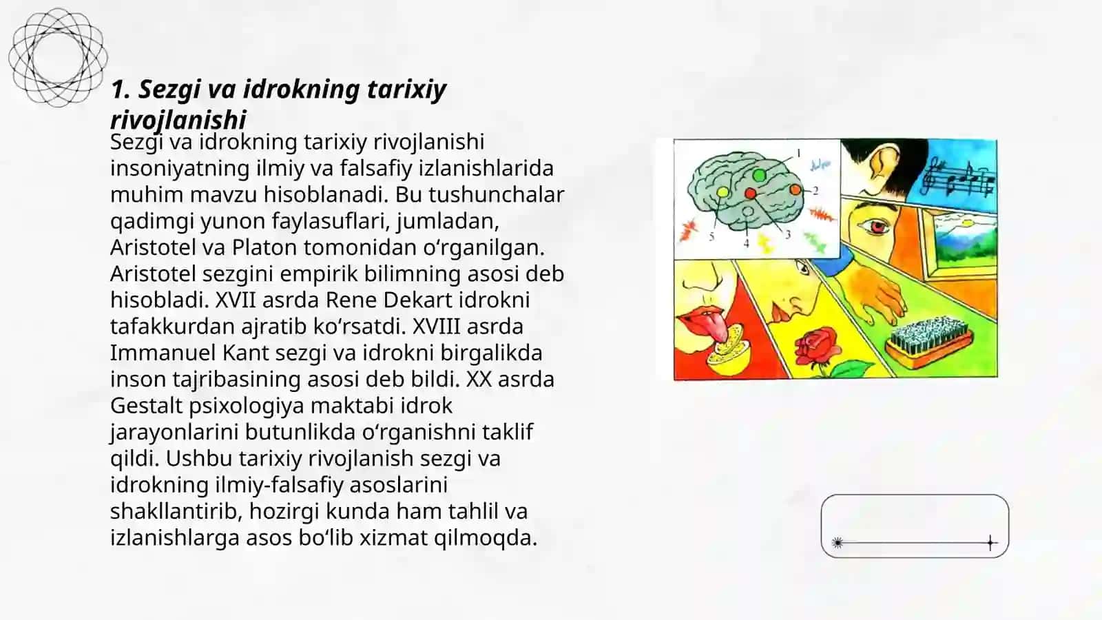 Sezgi va idrok 3
